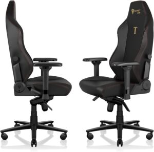Secretlab Titan Evo Chair